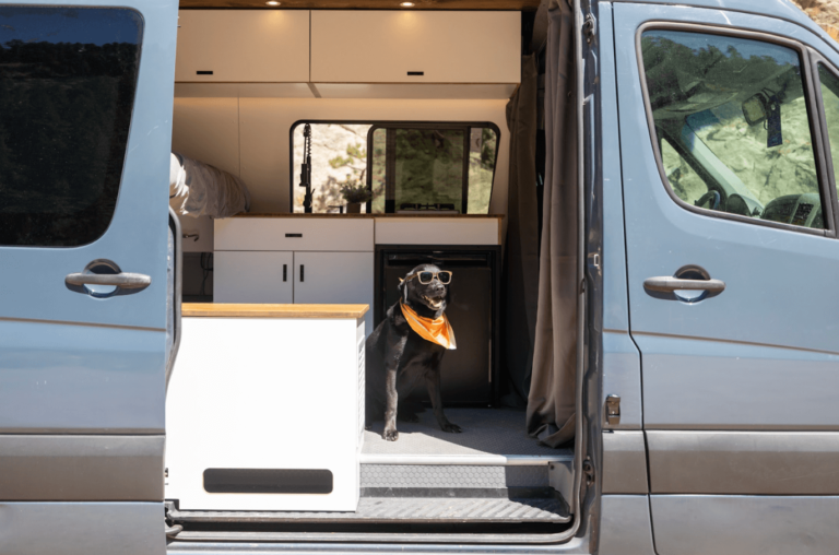 Tips for Doing Van Life with a Dog (Or Any Furry Friend)