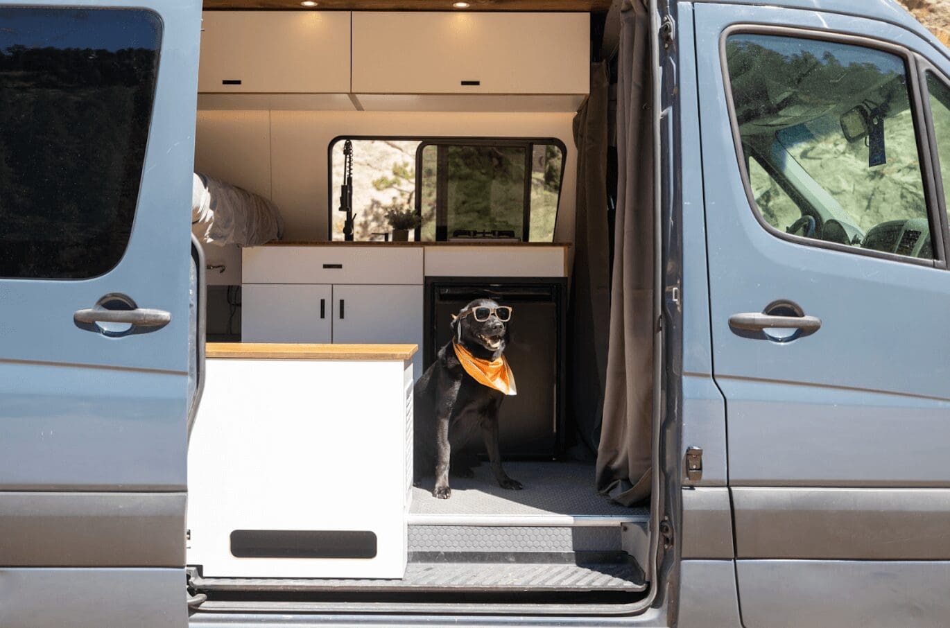 van life with dog